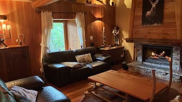TV, fireplace, books
