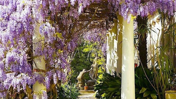 A pathway leading through a garden with purple flowers and a stone structure.