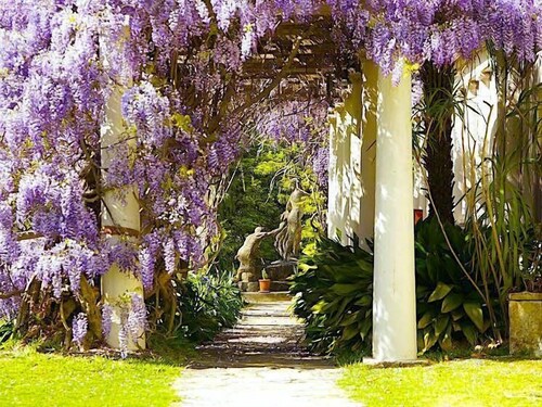 Norman Lindsay Cottage | Wilderness Cabin, A/C, BBQ, Smart TV, Norman Lindsay Gallery Estate