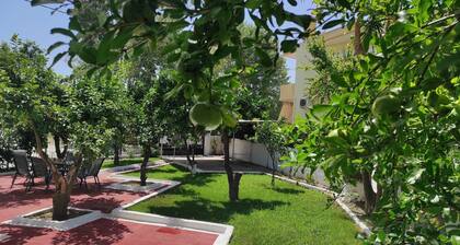 City Apartment w/3 BR & spacious yard