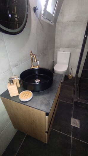 Shower, hair dryer, towels - City Apartment w/3 BR & spacious yard (Eretria)