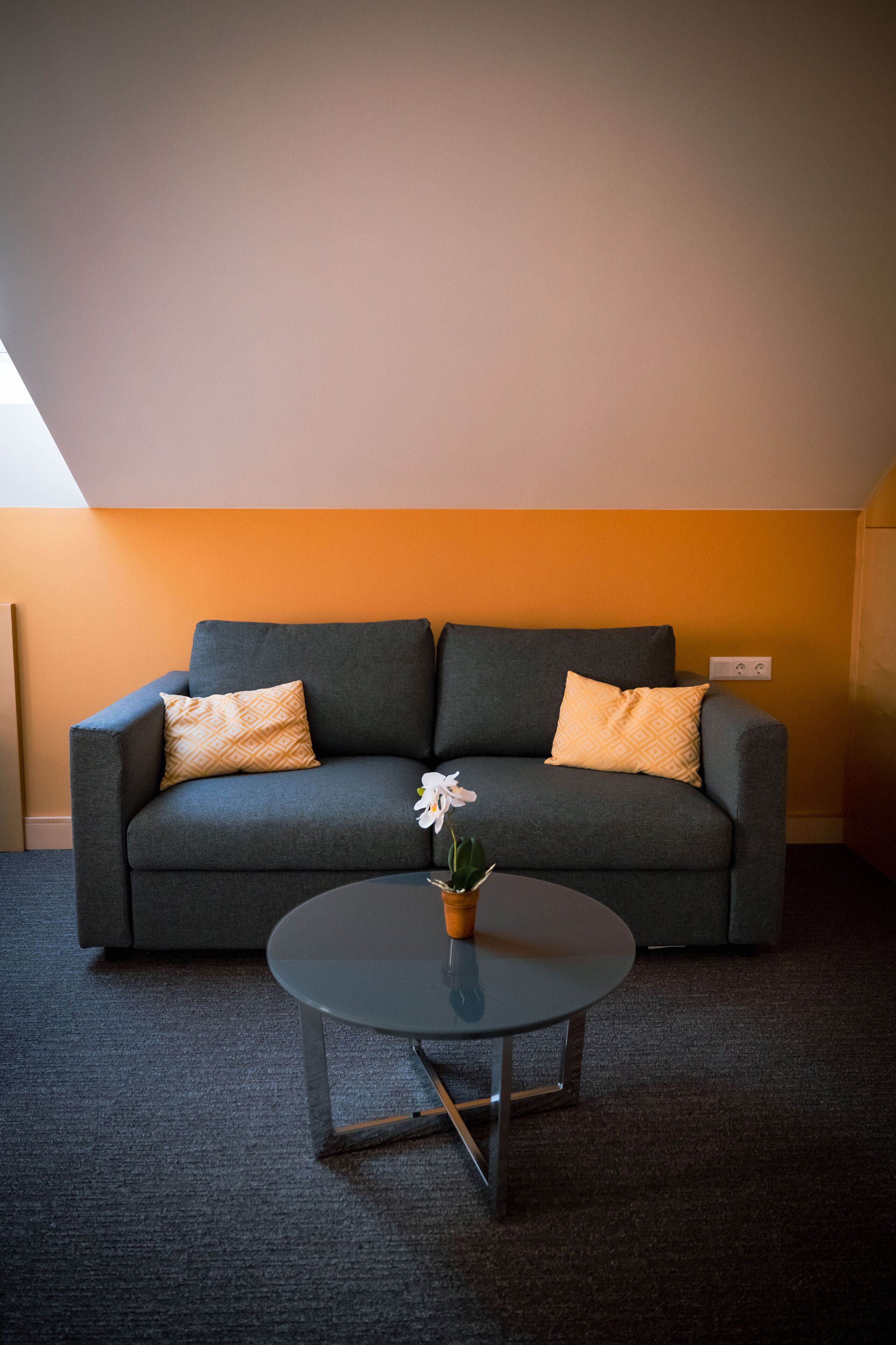 Classic Suite | Room amenity