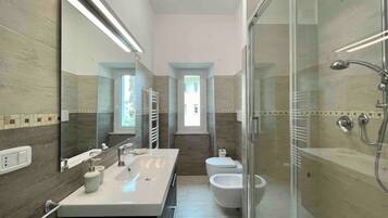 Shower, hair dryer, bidet, towels