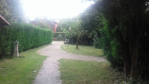 A paved pathway leading through a well-maintained garden with a hedge on one side and a tree on the other. - B&B Villa Trotter (Mira)