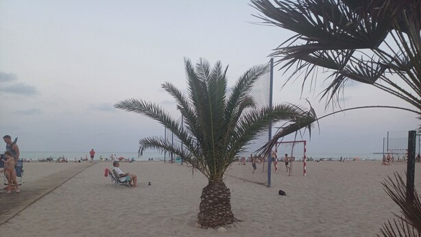 Una playa con palmeras, una red de voleibol y gente al fondo.