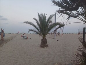 A beach with palm trees, a volleyball net, and people in the background.