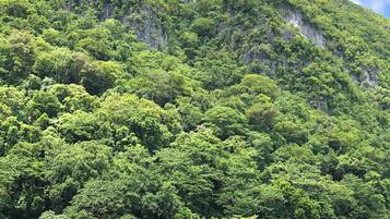 A mountainous area with dense green vegetation and a few buildings at the base.