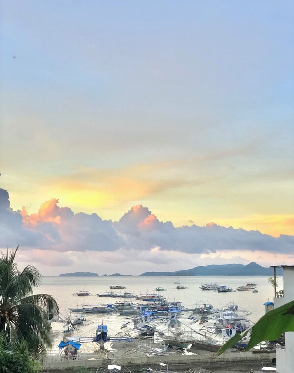 Vista desde la propiedad