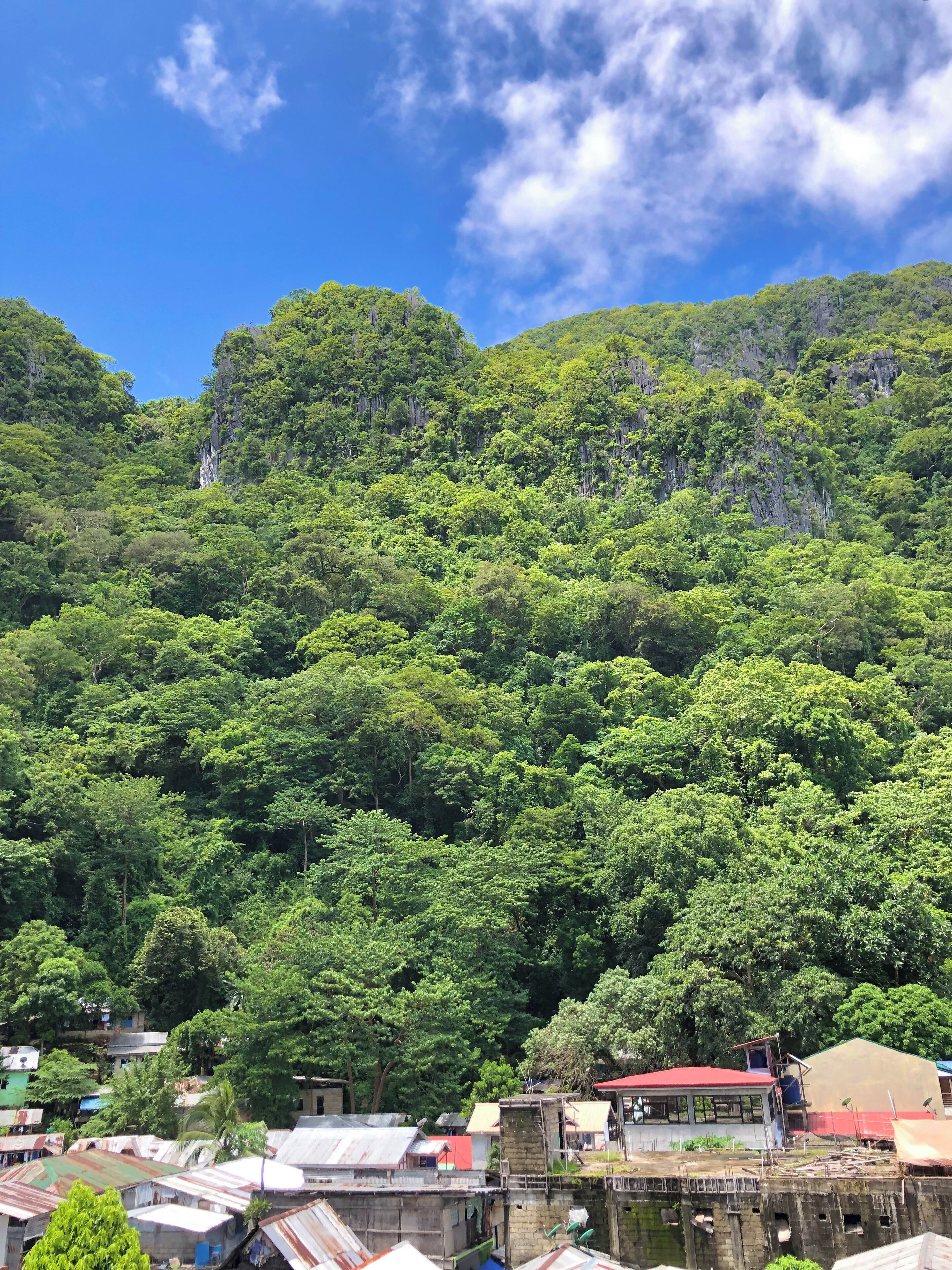 Una ladera con vegetación verde densa y un pequeño asentamiento con edificaciones en la base.