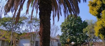 Dreams Guest house Edenvale