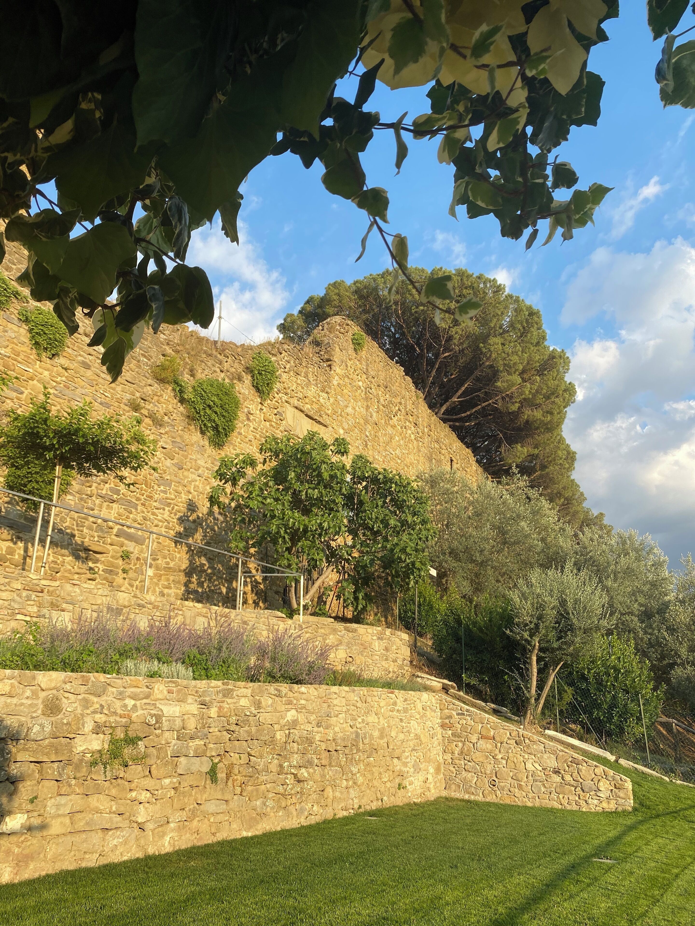 Un muro de piedra con una zona cubierta de césped al frente, un árbol y un cielo despejado.