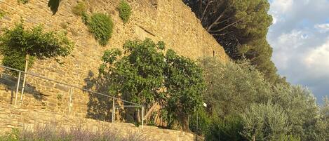 Un muro de piedra con una zona cubierta de césped al frente, un árbol y un cielo despejado.