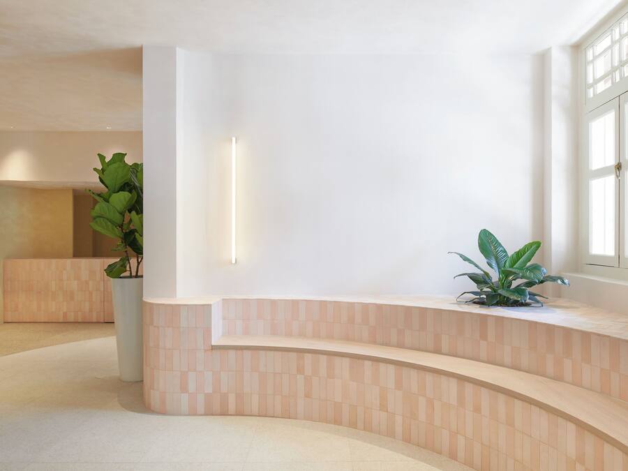 Un área de recepción moderna con un mostrador curvo, una planta en maceta y un amplio ventanal que proporciona luz natural.
