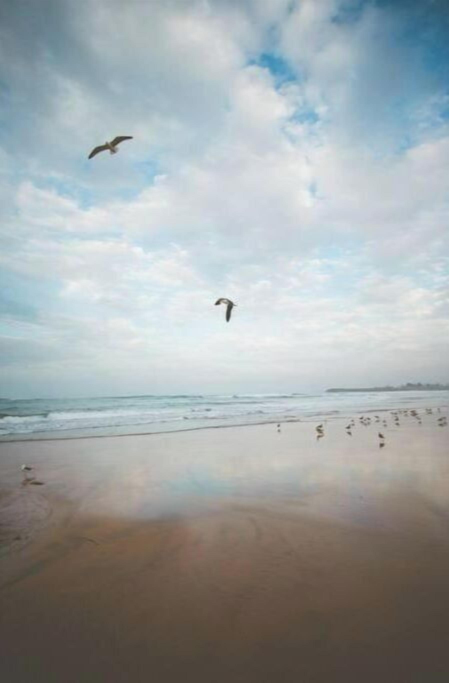 Chaises longues, serviettes de plage
