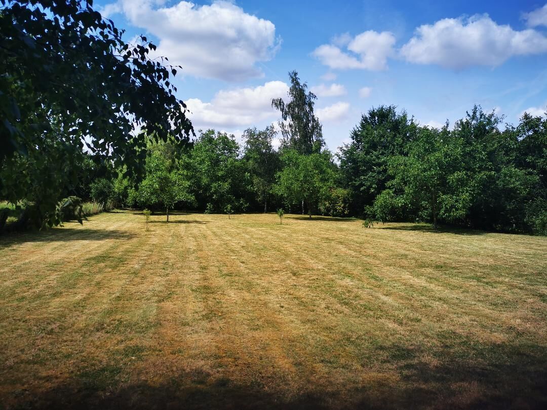 Ein grasbewachsenes Feld mit Bäumen und blauem Himmel.