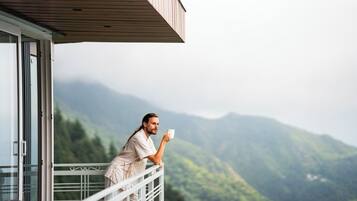 Superior Room | View from room