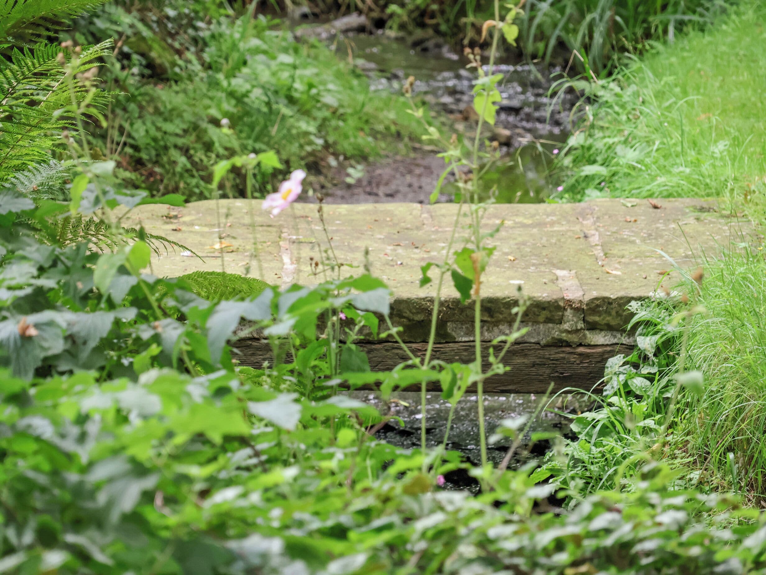 A stone bridge in a lush green area with a small stream underneath.