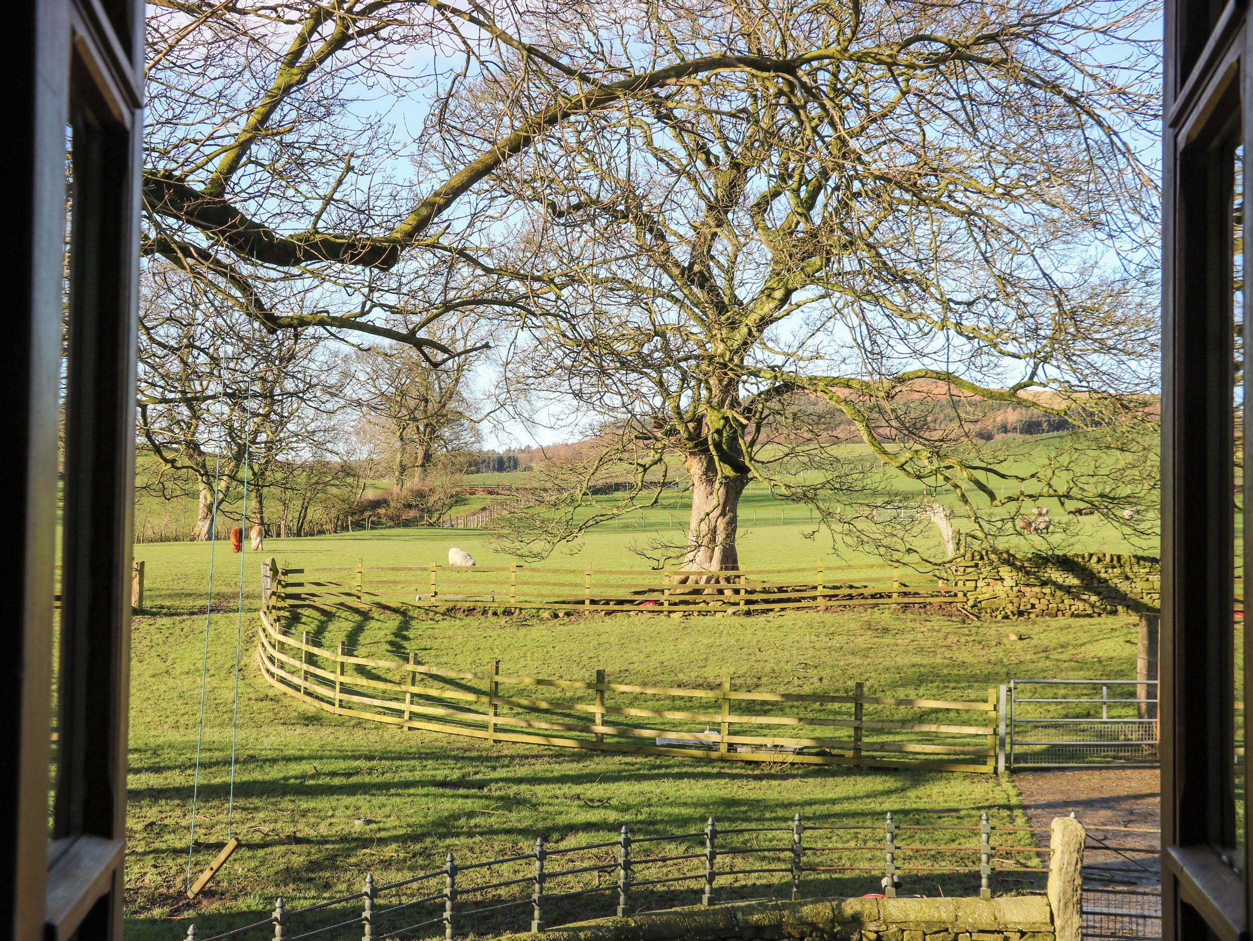 A view of a rural landscape with a large tree, a wooden fence, and a grassy field.