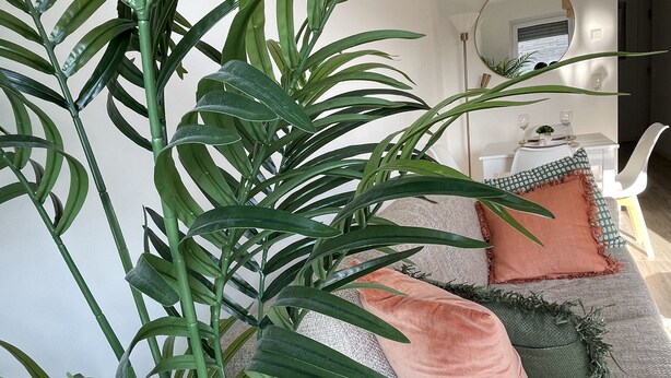Ein Wohnzimmer mit einem grauen Sofa, grünen und pfirsichfarbenen Kissen und einer großen Grünpflanze im Vordergrund.