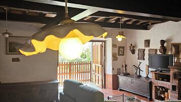 Televisión, chimenea y libros