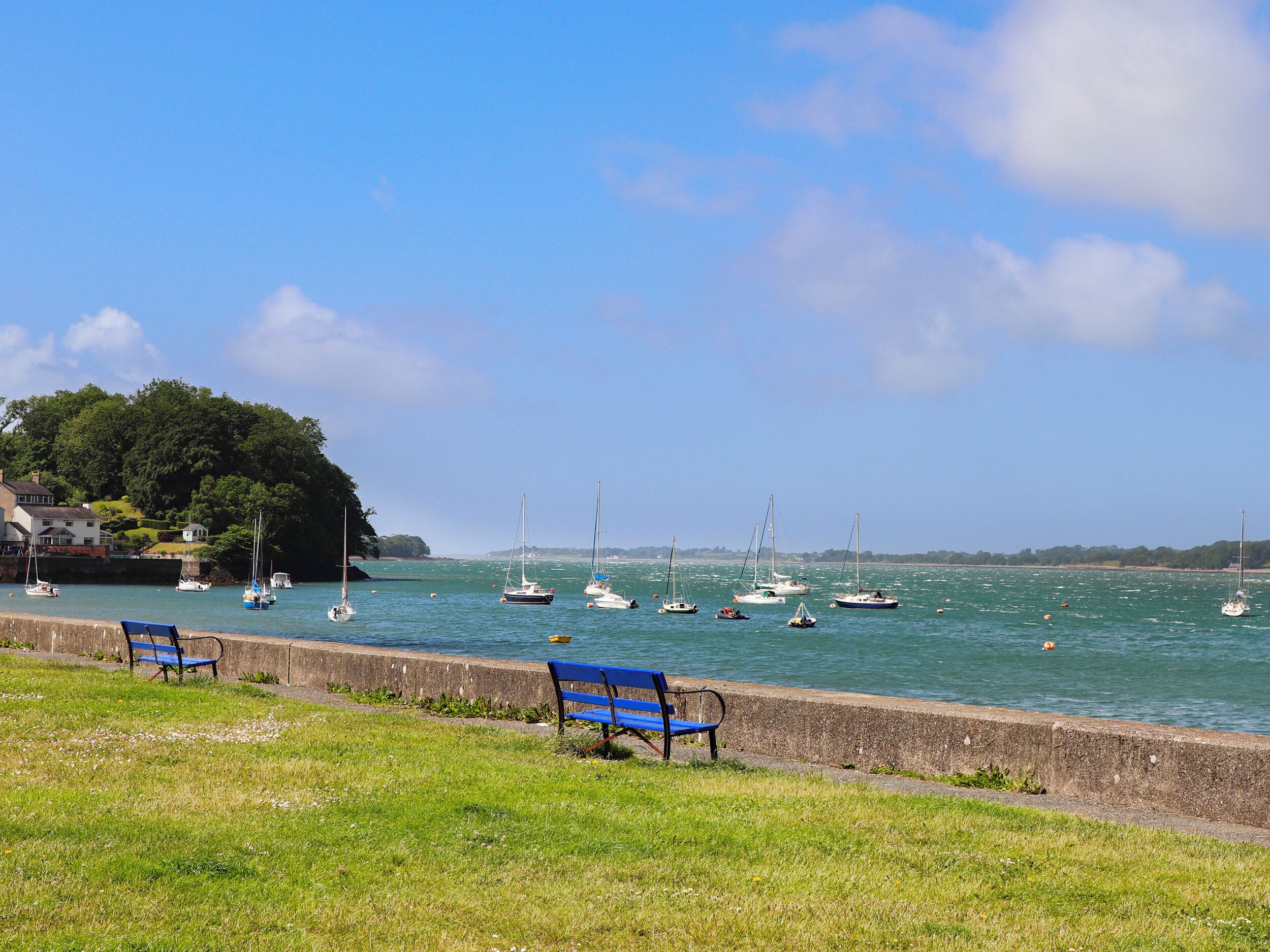 A coastal scene with a grassy area, a stone wall, and several blue benches.