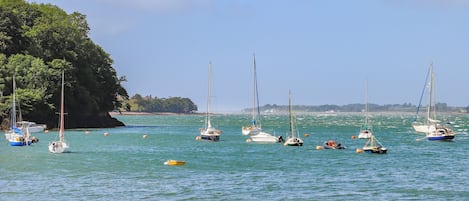 Jachthaven
