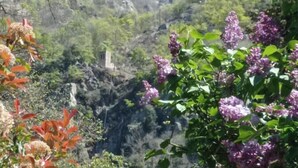 A mountainous landscape with a building in the distance, surrounded by greenery and purple flowers. - QUAZEMI chalets in Casteil vacation rentals (Casteil)