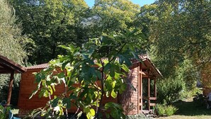 A wooden cabin with a porch, surrounded by lush greenery and trees. - QUAZEMI chalets in Casteil vacation rentals (Casteil)