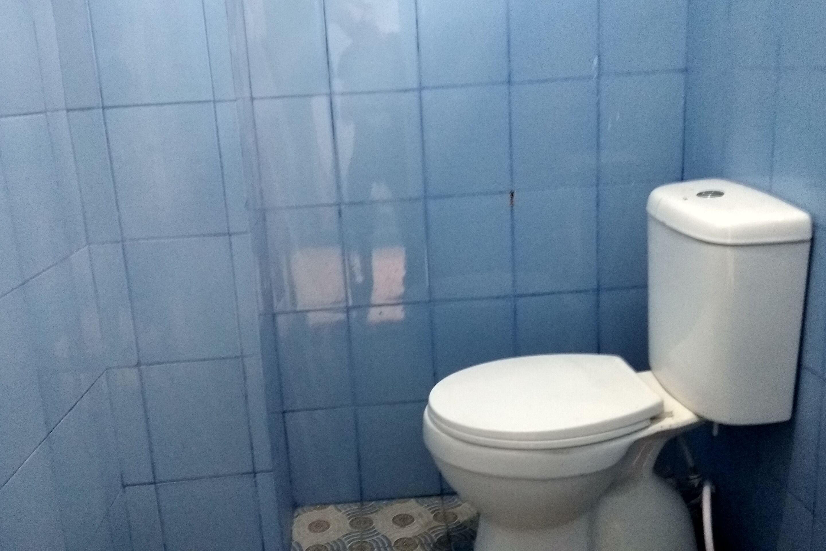 Photo - Hotel O Homestay 47 Latanete Near Living Plaza