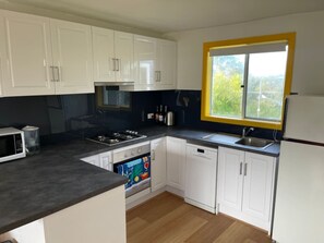 Fridge, oven, dishwasher, cookware/dishes/utensils