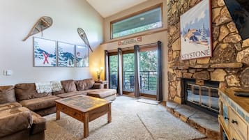 TV, fireplace, books