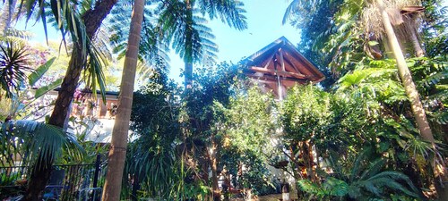 Forest Retreat 30 mins from Sydney CBD