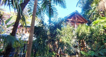 Forest Retreat 30 mins from Sydney CBD