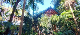 Forest Retreat 30 mins from Sydney CBD