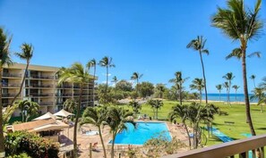Un hôtel doté d’une piscine entourée de palmiers et offrant une vue sur l’océan.