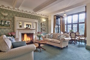 Televisio, takka, kirjoja, stereot