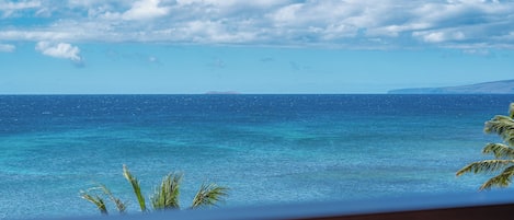 A view of the ocean from a balcony with a wooden railing, palm trees, and a clear sky.