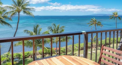 Direct Oceanfront Newly Remodeled!