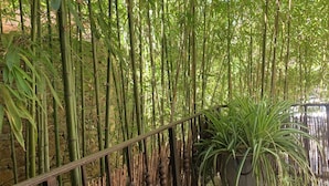 A bamboo grove with a wooden railing and a potted plant. - Appartement Proche de la Plage (Cavalaire-sur-Mer)