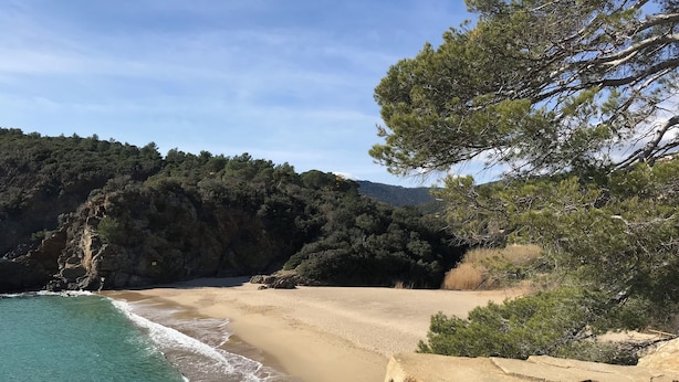 A coastal landscape with a sandy beach, clear turquoise waters, and dense greenery on the hills. - Appartement Proche de la Plage (Cavalaire-sur-Mer)