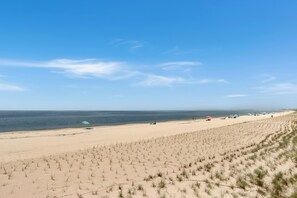 A sandy beach with dunes and a clear blue sky. - Beachfront, Amazing Views, Elevator ~ GW 2 (St. Joe Beach)