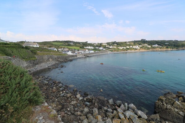 A coastal area with rocky shores, clear water, and houses along the coastline.