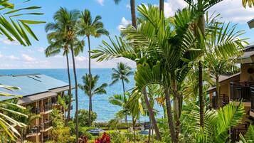 Condo, 1 Bedroom | Beach | Beach nearby