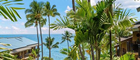 Condo, 1 Bedroom | Beach | Beach nearby