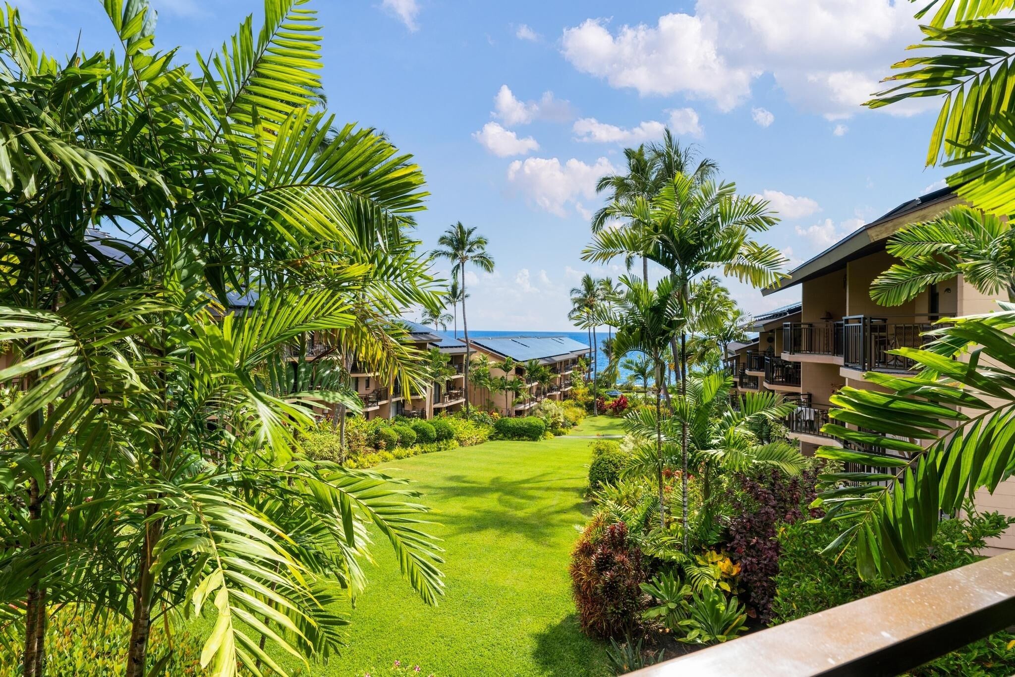 A resort with a well-maintained lawn, palm trees, and a view of the ocean.