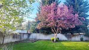 A backyard with a wooden fence, a tree with pink blossoms, and a lawn. - Beautifully Updated Home on Oak Trail Drive in IF
 (Idaho Falls)