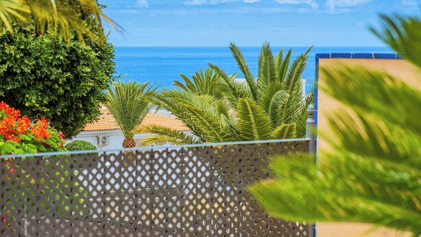 Un balcón con vista al mar, palmeras y una valla enrejada.