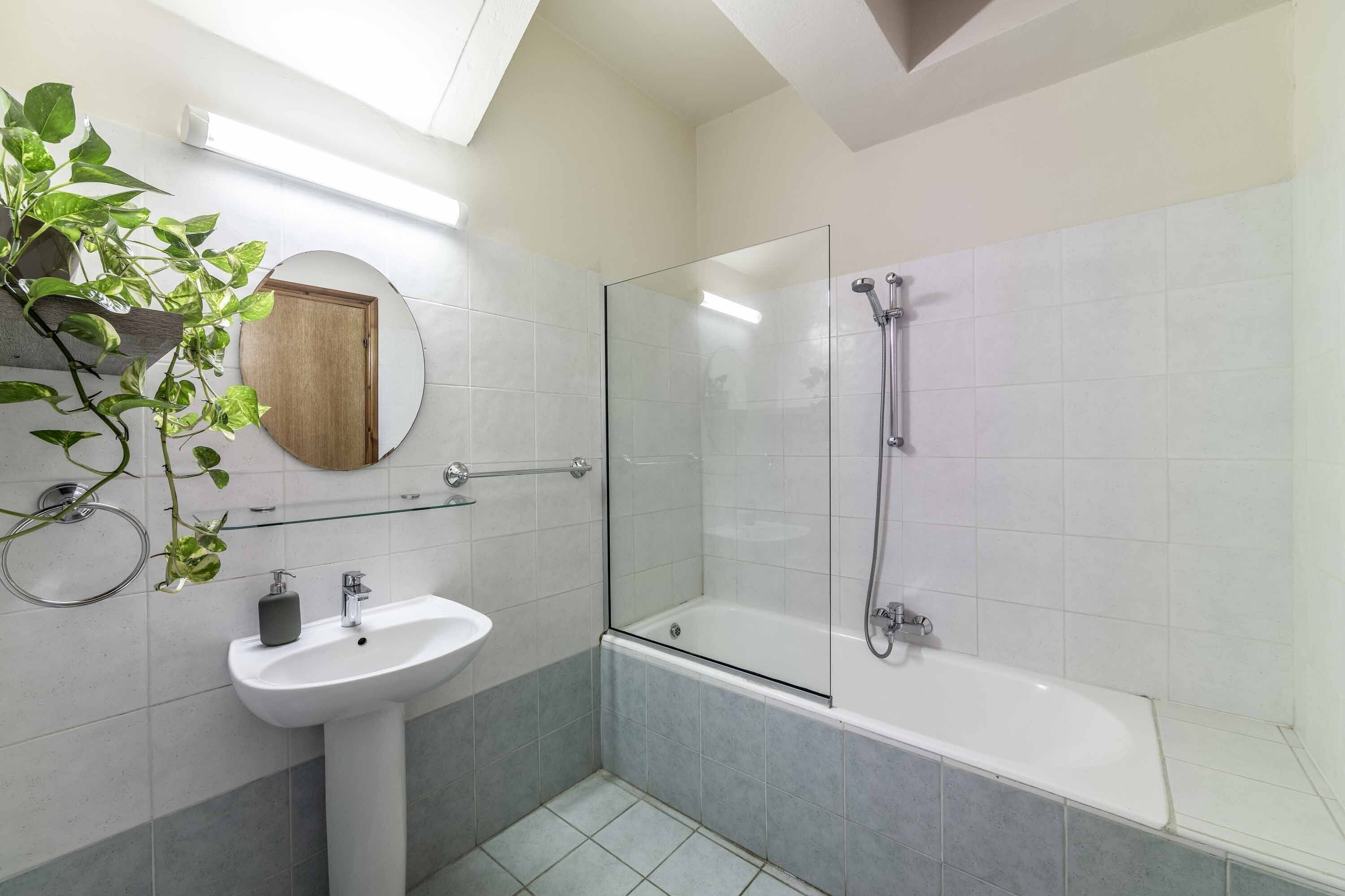 Un baño moderno con ducha envuelta en vidrio, lavamanos pedestal y una planta en maceta.