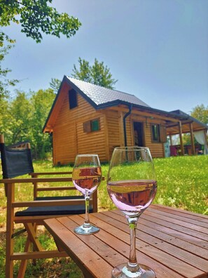 Property grounds - Cozy getaway house surrounded by forest and meadows  (Tvrdimici)