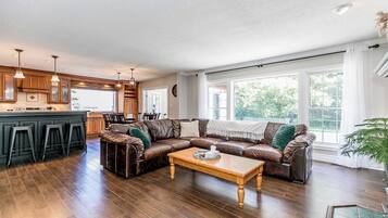 Televisión, chimenea, libros y monitor de computadora